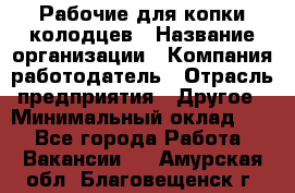 Рабочие для копки колодцев › Название организации ­ Компания-работодатель › Отрасль предприятия ­ Другое › Минимальный оклад ­ 1 - Все города Работа » Вакансии   . Амурская обл.,Благовещенск г.